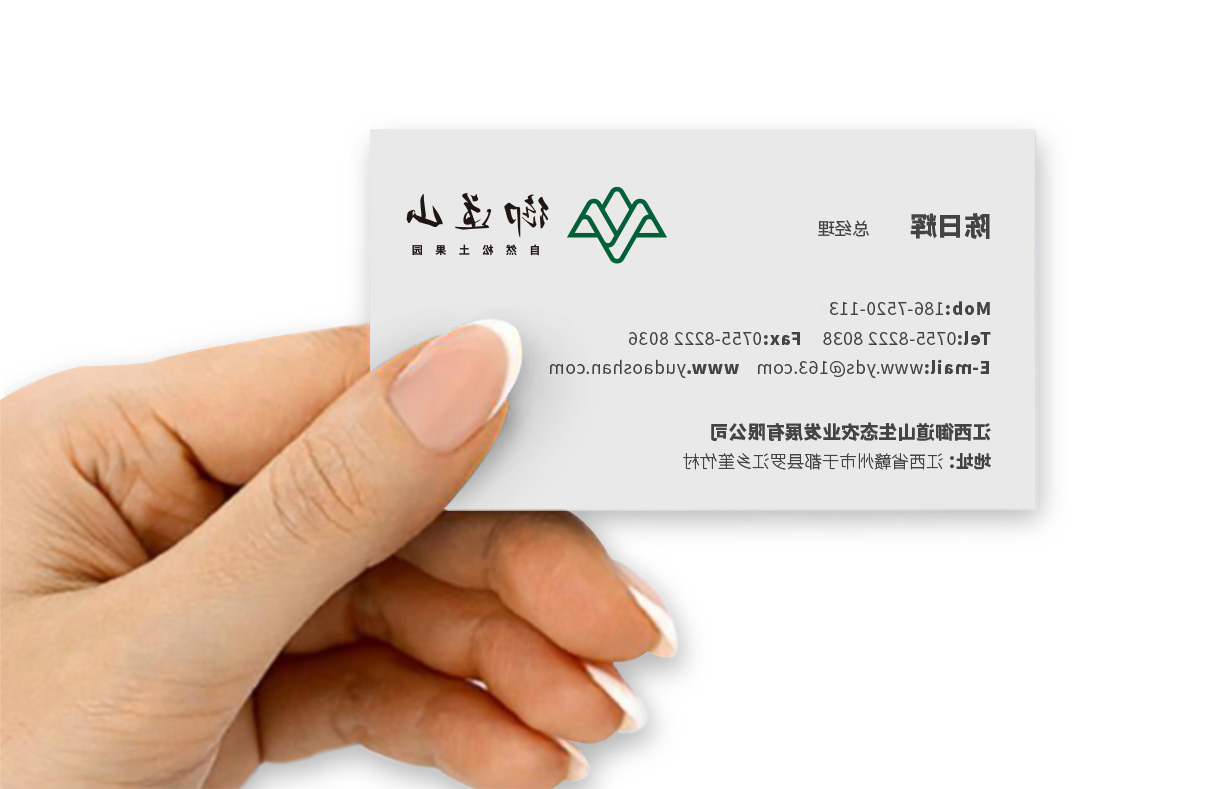 御道山VI设计